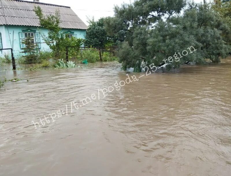 спасск-дальний. погода в спасске-дальнем. погода спасск дальний на 10 дней приморский. спасск-дальний.