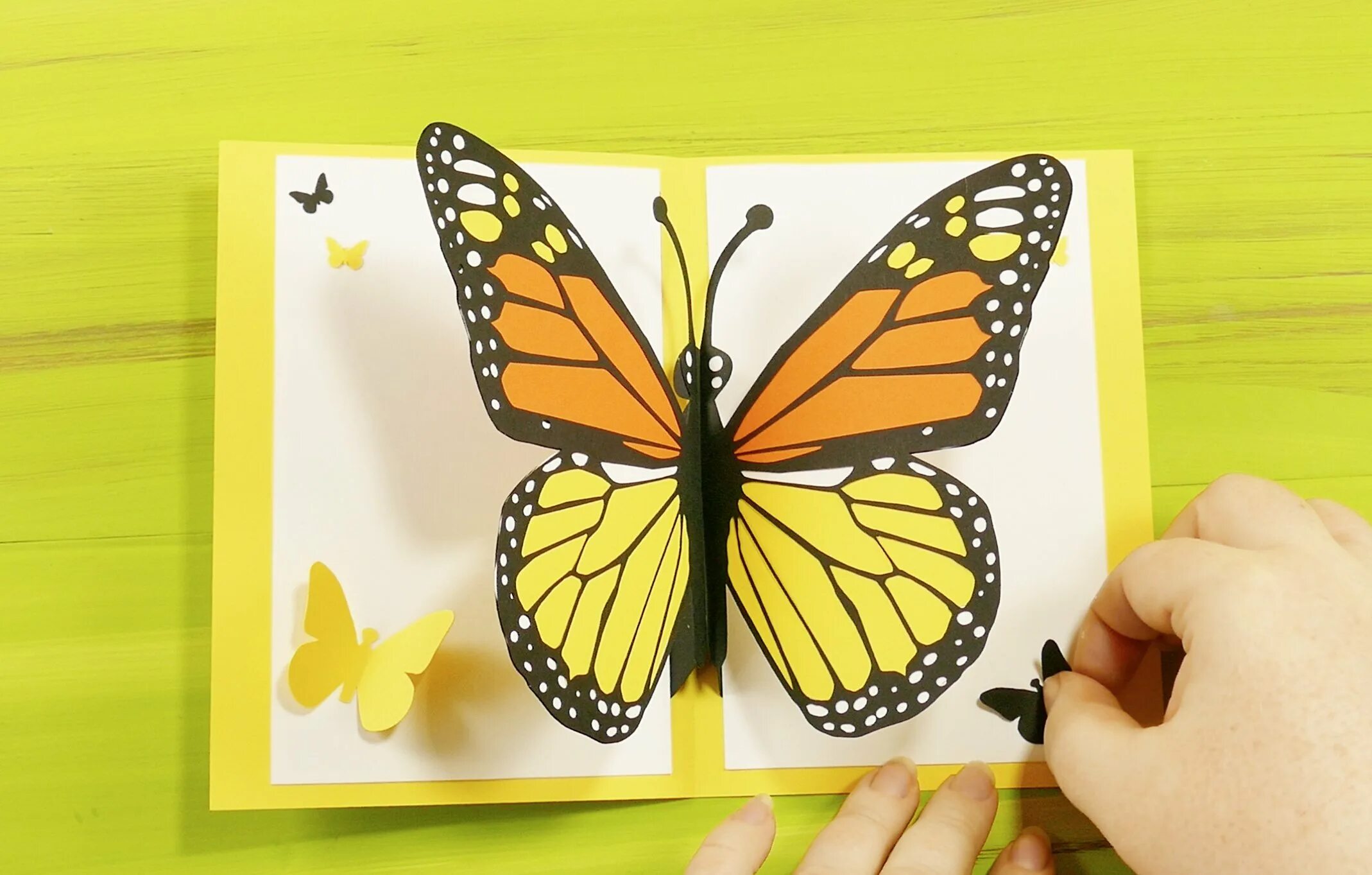Бабочка поделка из бумаги. Объемные бабочки из бумаги. Объемная аппликация бабочка. Поделка бабочка из цветной бумаги. Объемная бабочка из бумаги своими руками