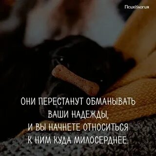 Начал надеяться