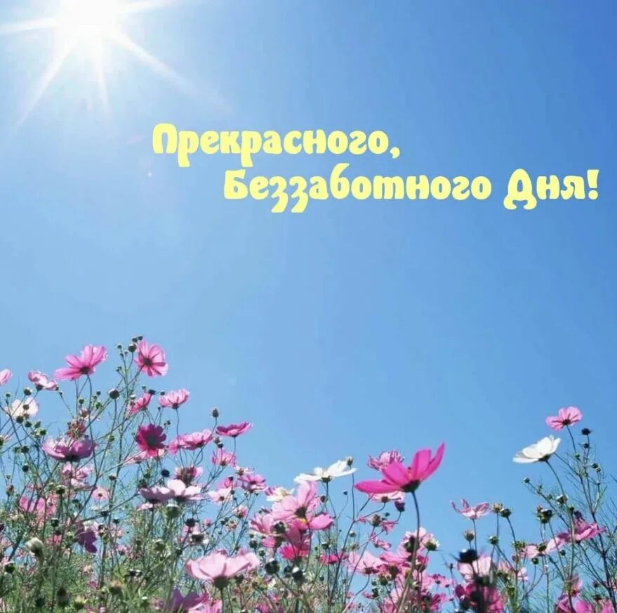Доброго мирного утра. Прекрасный день. Чудесного дня. Хорошего дня и отличного настроения. Хорошего дня и прекрасного.