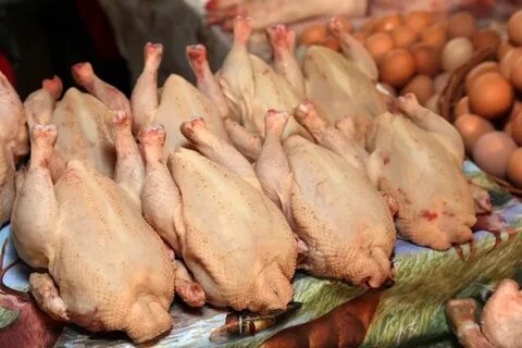 Сколько стоят домашние куры на рынке