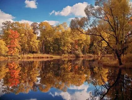 Пейзаж осени