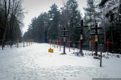 Куропаты