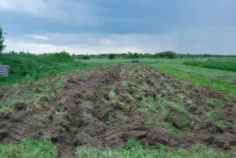 Сотка под картофель