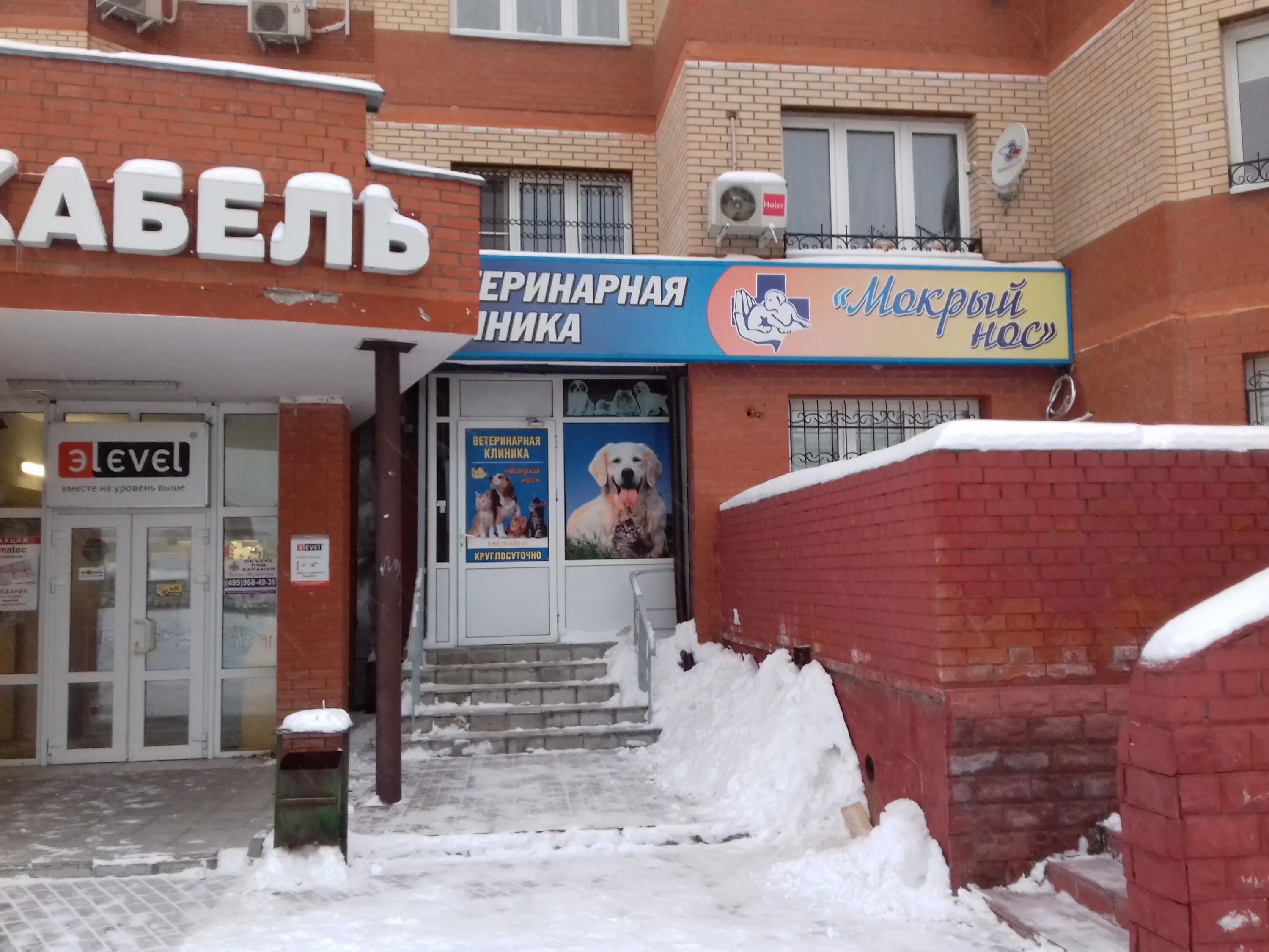 клиника мокрый нос северный. мокрый нос обнинск. мокрый нос обнинск. мокрый нос зоомагазин. мокрый нос зоомагазин логотип.