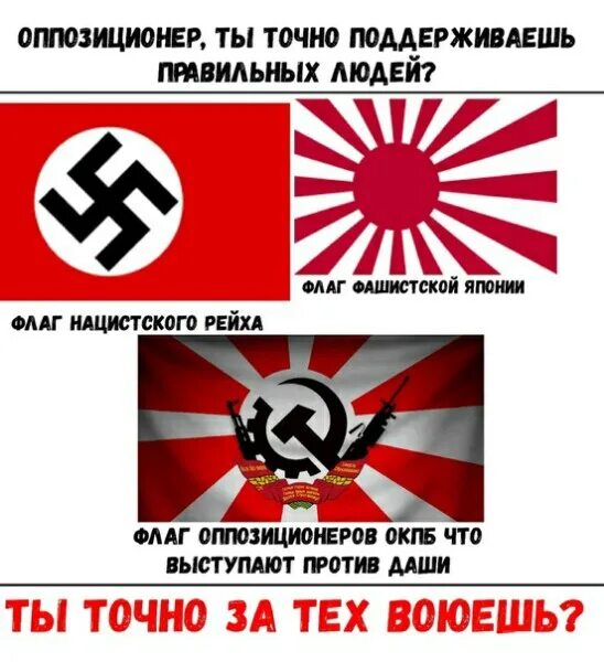 Национал-Большевистская партия националистические партии. Национал большевизм и национал социализм. Флаг национал Большевиков. Флаг национал большевистской России.