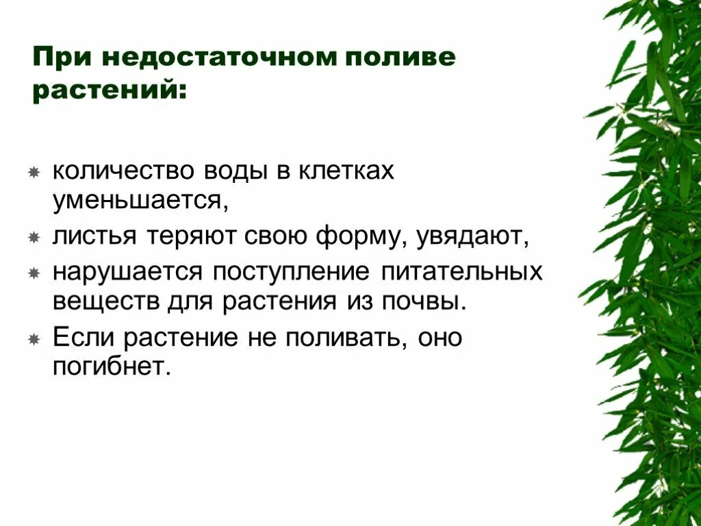 Растительность какое число