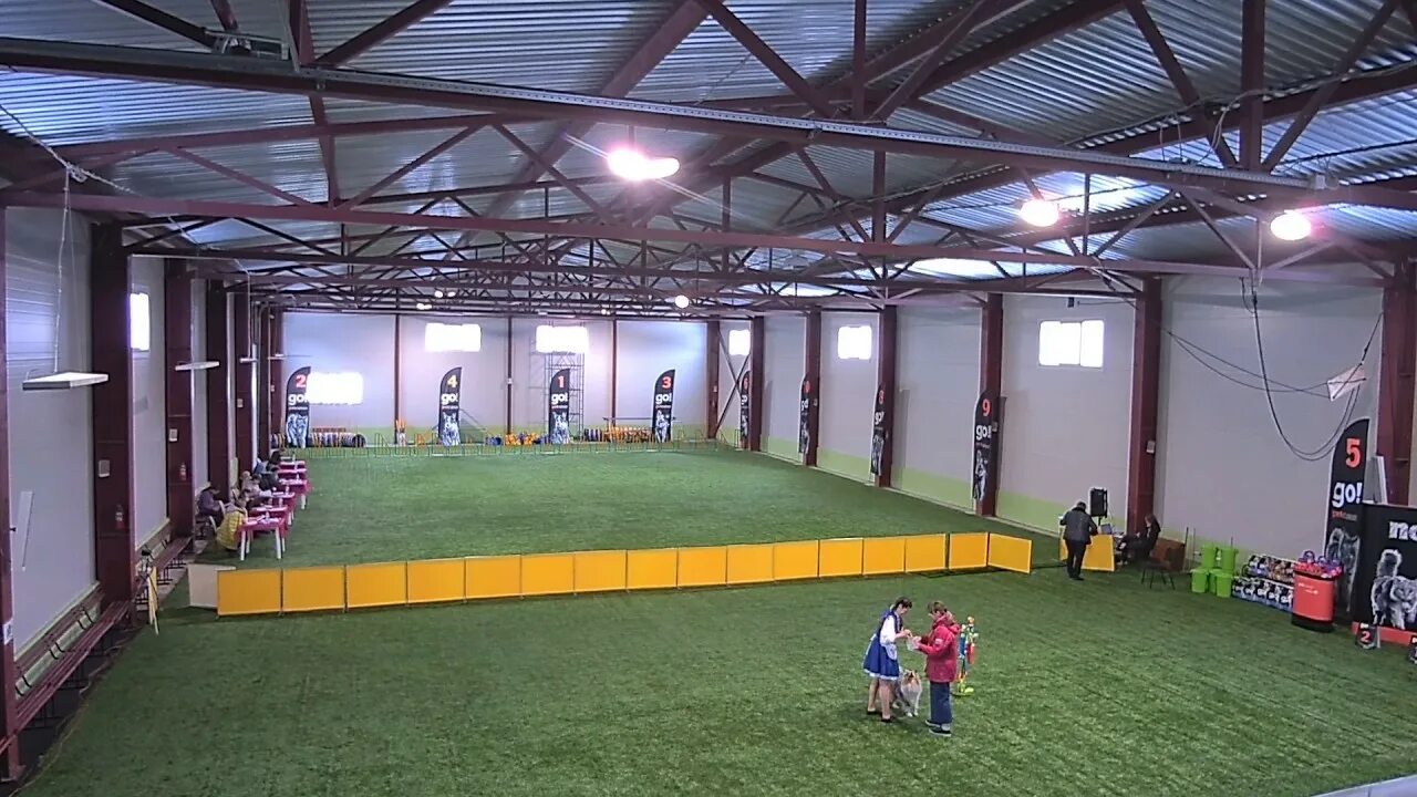 Dogs hall