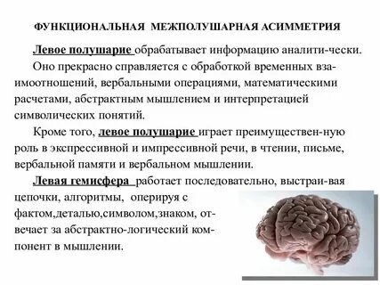 Межполушарная асимметрия