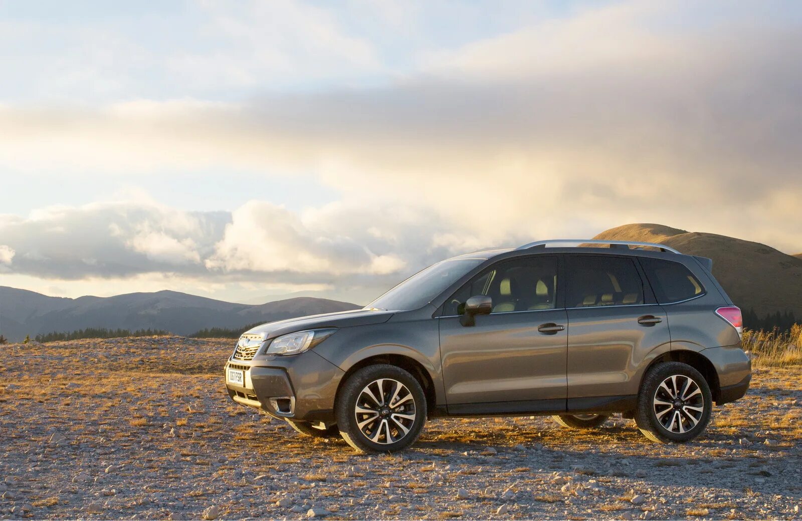 Кузова forester. Субару форестер 2018. субару форестер 2018г. субару форестер 2015 - 2018. subaru forester 2018 sj5.
