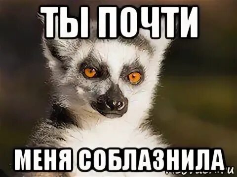 Почти ты