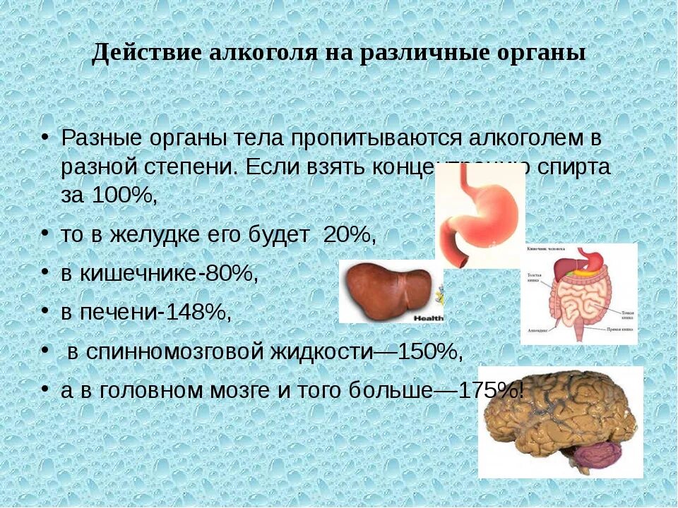 Страдает ли печень. Органы пораженные алкоголем.