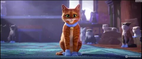 Включи кота номер 2