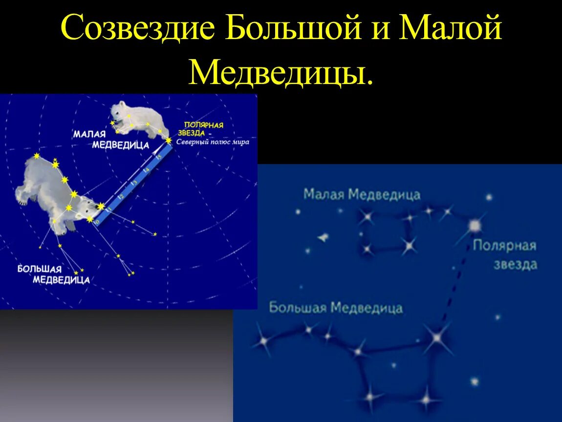 Созвездия первый класс. Большая и малая Медведица Полярная звезда. Звезда Алиот Созвездие большой медведицы. Расположение звезд большой и малой медведицы. Из каких звезд состоит Созвездие малой медведицы.