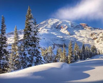 Winter gallery