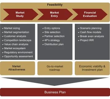 Feasibility