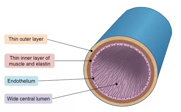 Eigen layer