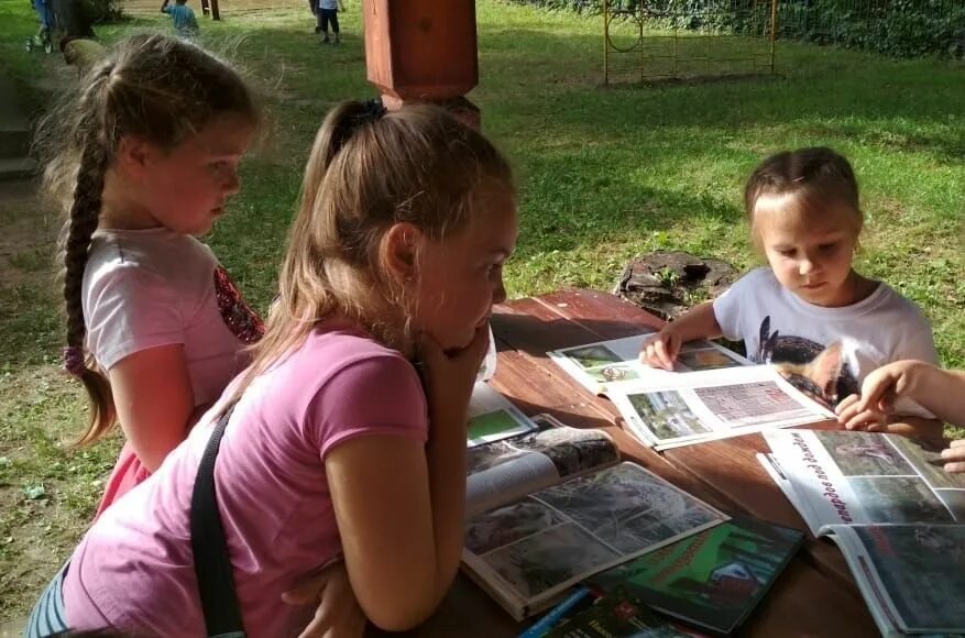 Удивительный мир насекомых книга. "энциклопедия. Сказкотерапия для детей. Природа будущего. Книга природа.