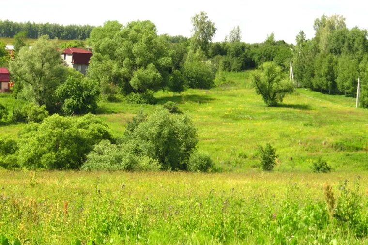 Природа Ясногорского района Тульской области. Поля Тульская область Ясногорский район. Тульская область Ясногорский район деревня Вишняково. Ясногорский район природа.