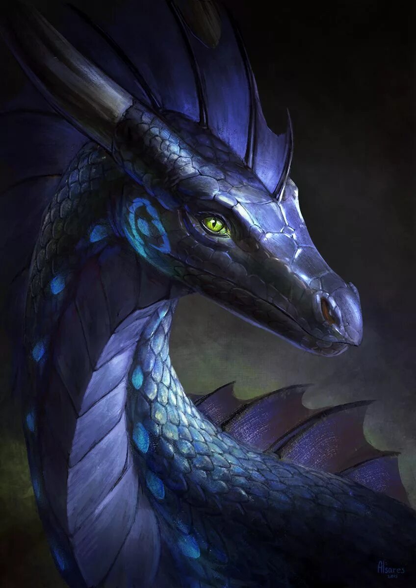 10 différents types de Dragons à Travers le Monde Médiéfan Imágenes de dragón, I