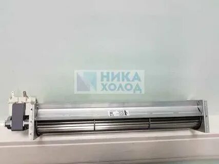 Ник холод
