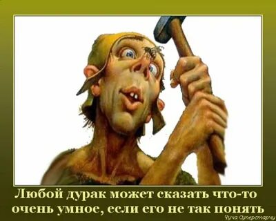 Глупость дураки