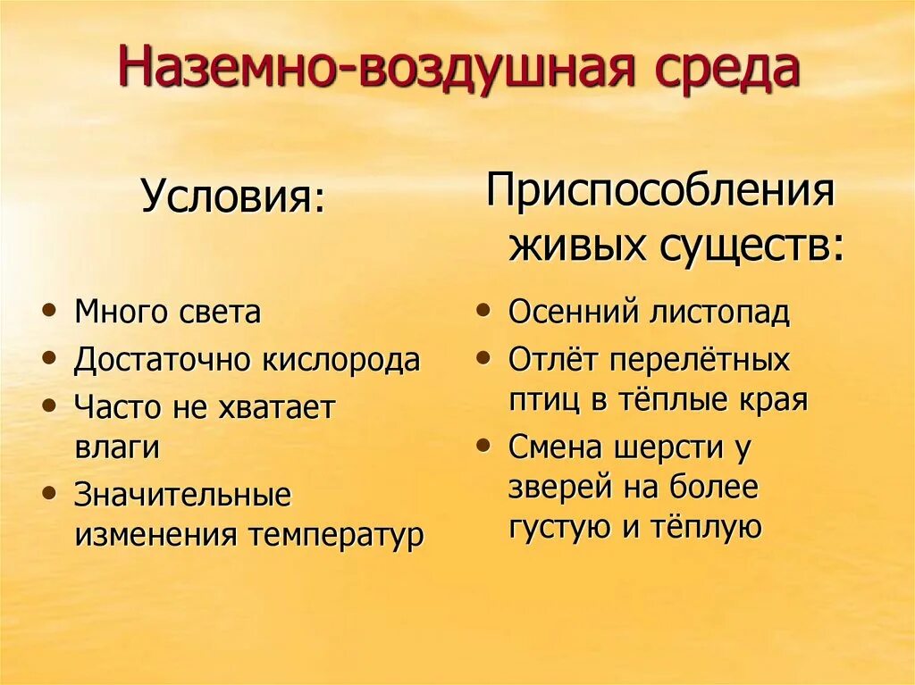 Особенности строения животных наземно воздушной. Наземно-воздушная среда обитания. условия наземно-воздушной среды обитания. наземновоздушкая среда. условия надземновоздушной среды.