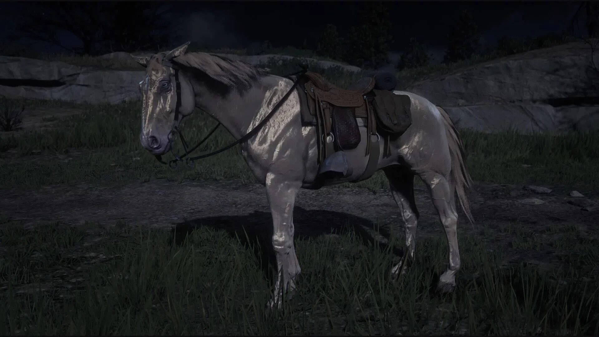 Рысак рдр 2. Миссури фокс троттер red dead redemption 2. rdr2 норфолкский рысак. missouri fox trotter рдр 2. норфолкский рысак red dead.