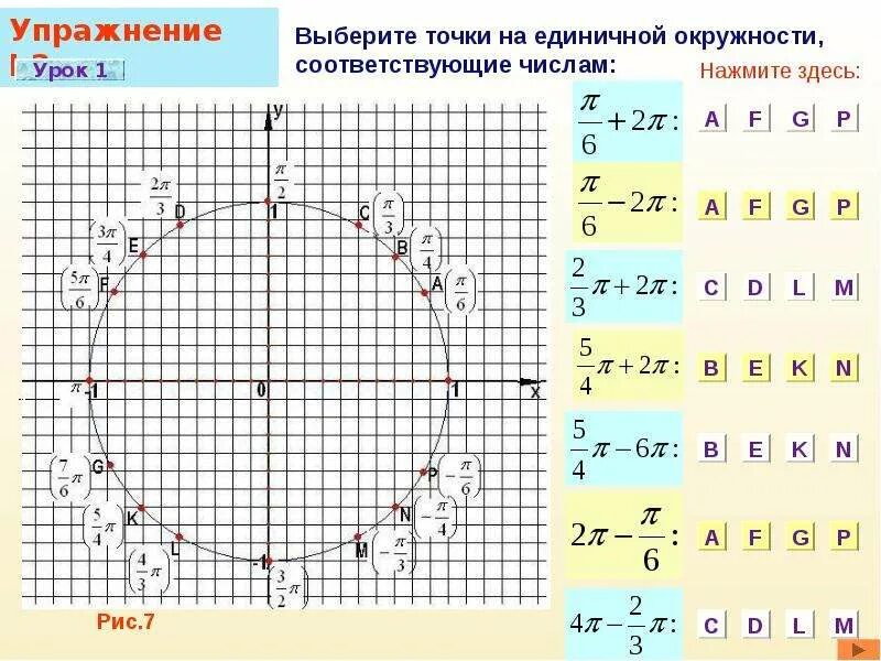 Отметь точку на единичной окружности. Единичная окружность 2п. Числовая единичная окружность. Синус 1 на единичной окружности. П 2 на единичной окружности.