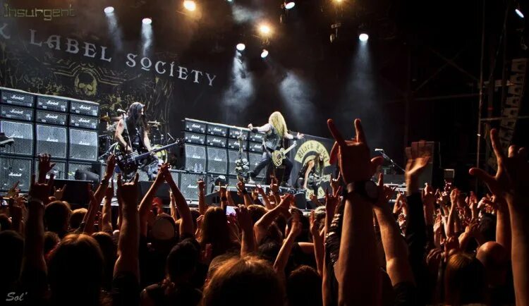 Society 9