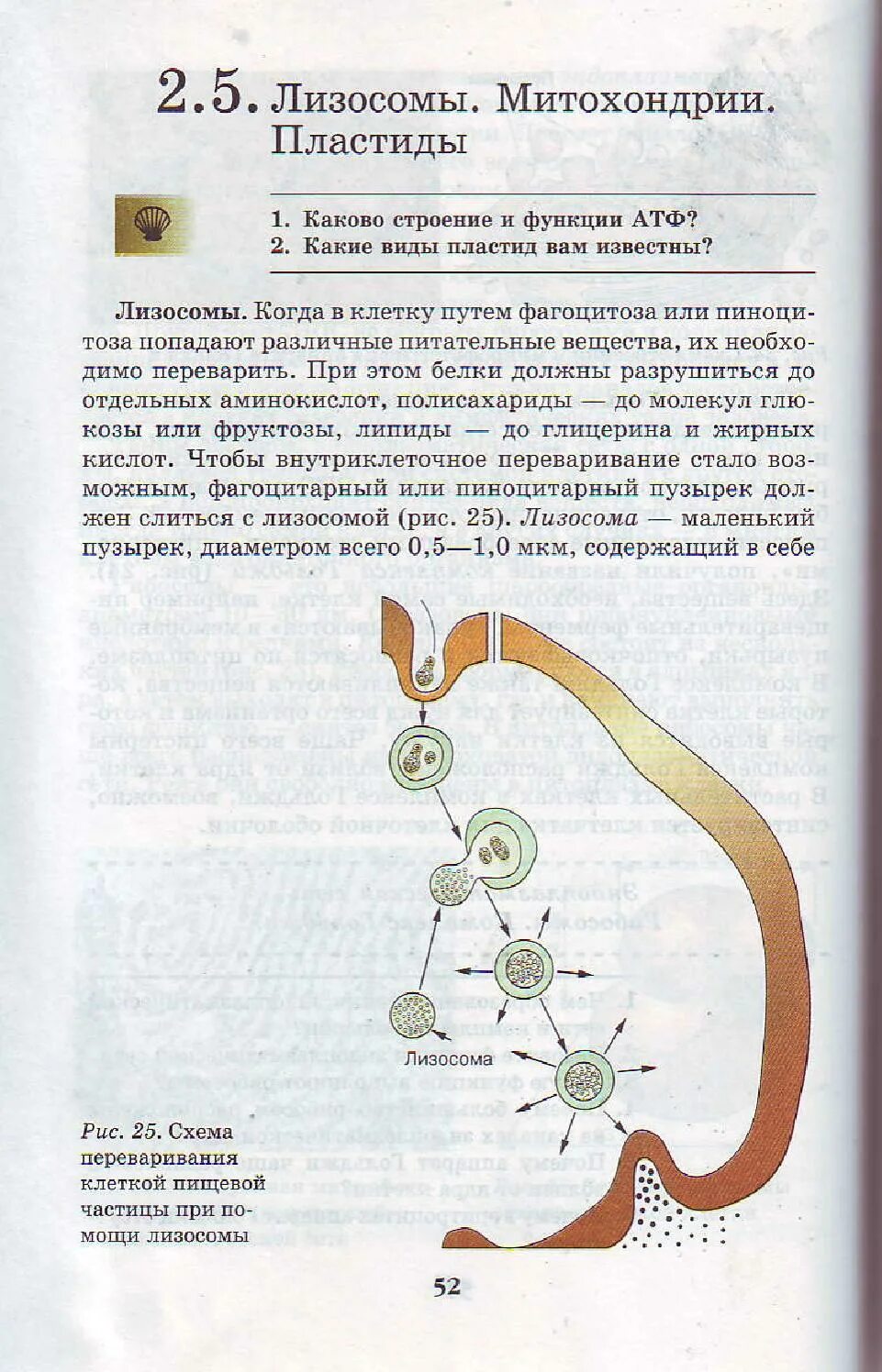 Биология 9 класс 24. Биология 9 класс 75 страница Пасечник. Биология 9 класс Пасечник Каменский. Учебник биологии 9 класс 75 стр. Учебник биология 9 класс учебник Пасечник Каменский.