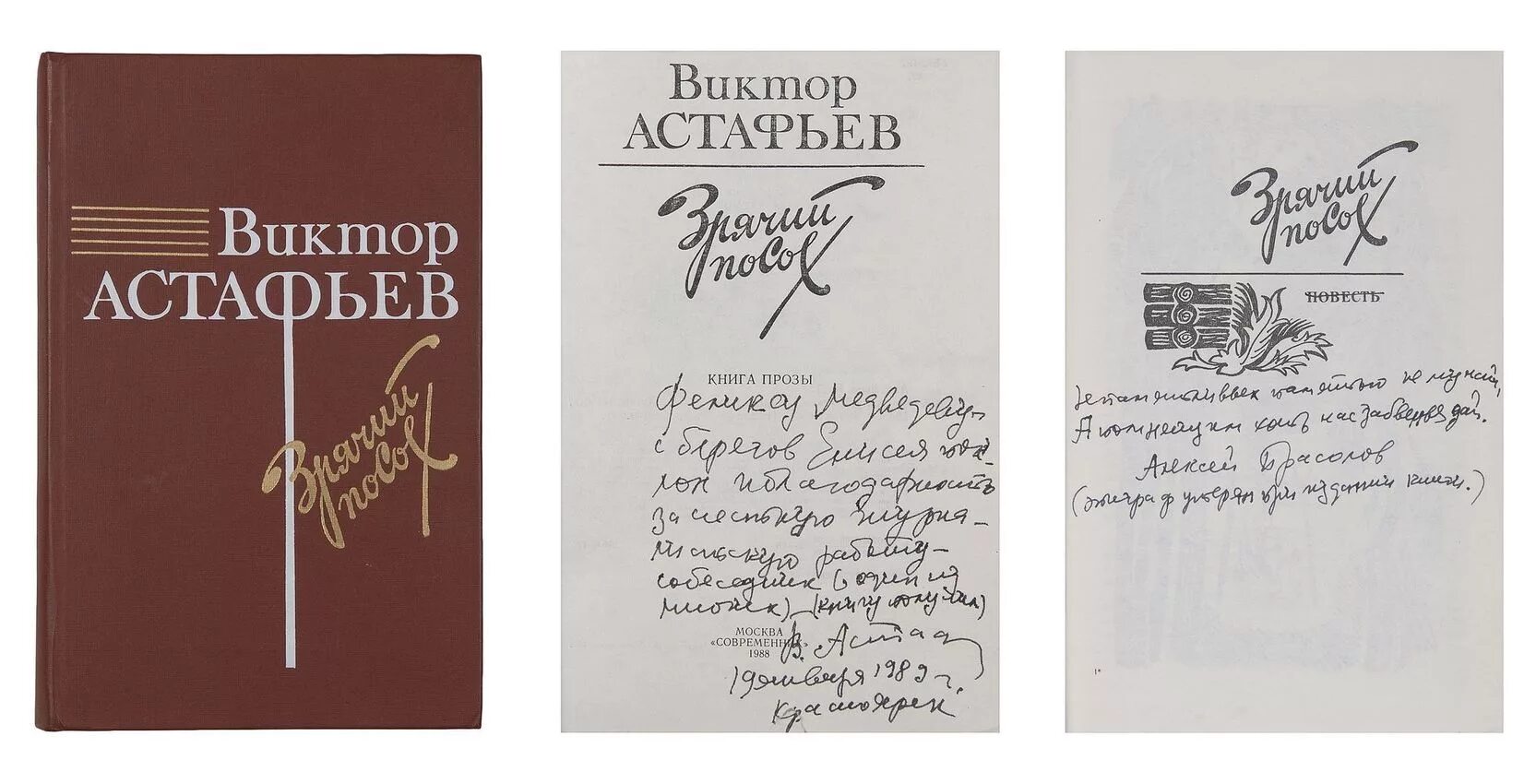 зрячий посох. астафьев книга зрячий посох. зрячий посох. виктор астафьев литература. виктор астафьев зрячий посох красная книга.