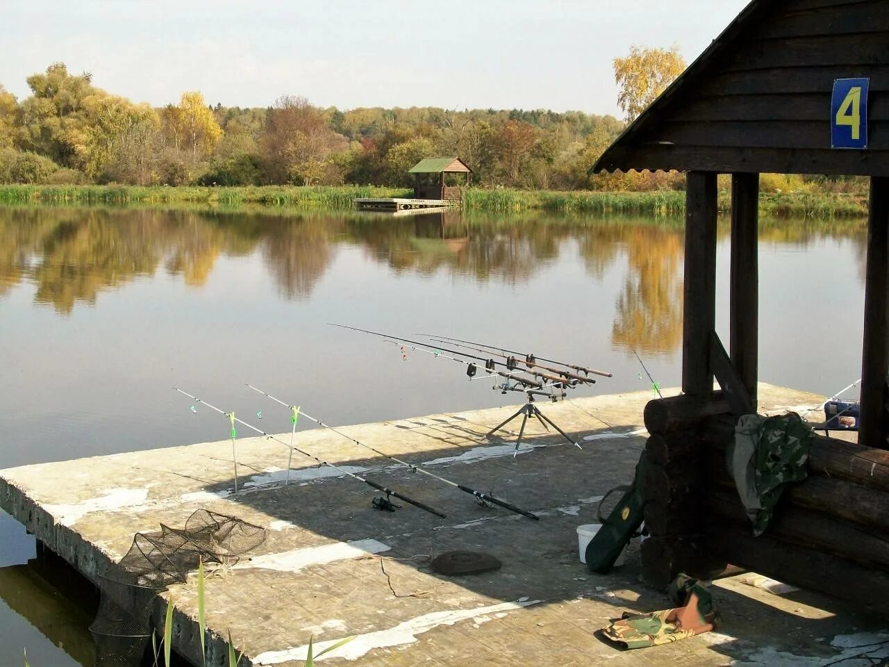 Пруд можно ловить рыбу. Рыбы в пруду. Рыбалка на пруду. Платное озеро для рыбалки. Рыбалка на озере.