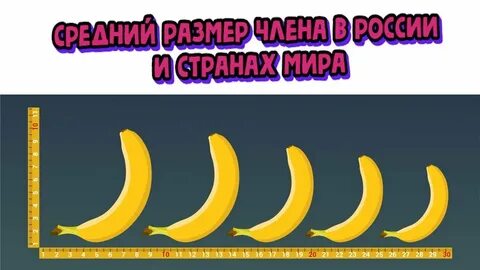 Идеальный размер полового