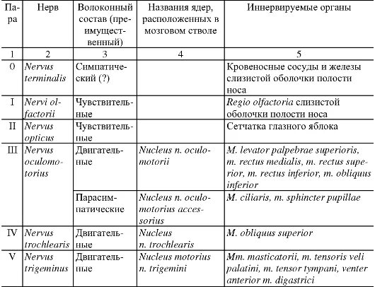 Области иннервации черепных нервов. Области иннервации черепно мозговых нервов таблица. Таблица функции 12 пар черепно-мозговых нервов ЧМН. 12 Пар черепно-мозговых нервов таблица анатомия. Черепные нервы и области иннервации таблица.