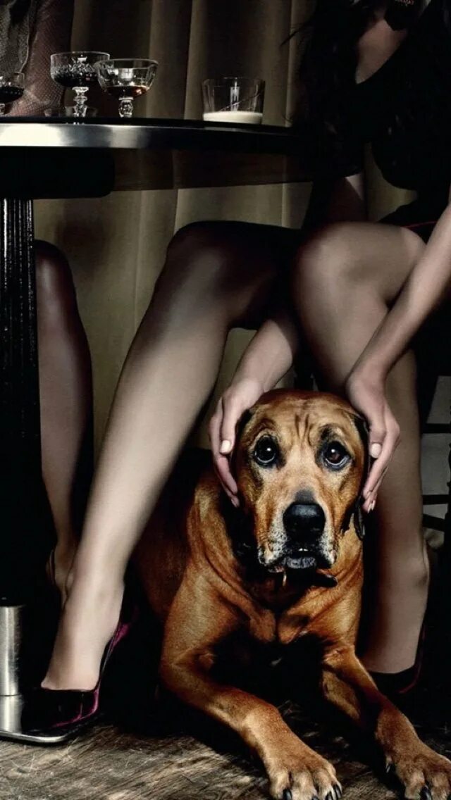 Девка зоофилия. Красивая девушка с собачкой. Красивые фотосессии собак. Женщина под собакой. Девушка под собакой.