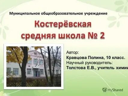 Школа толстова