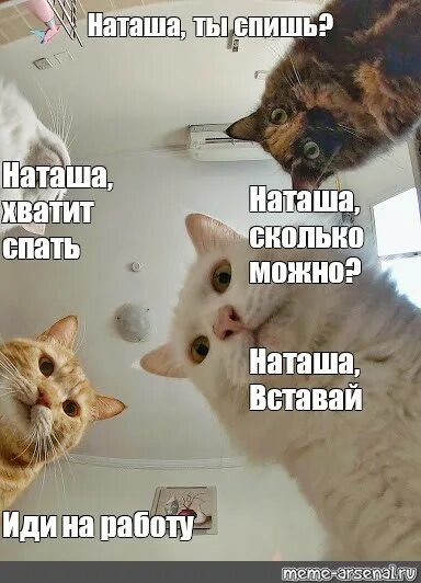 Вставай пошли со мной