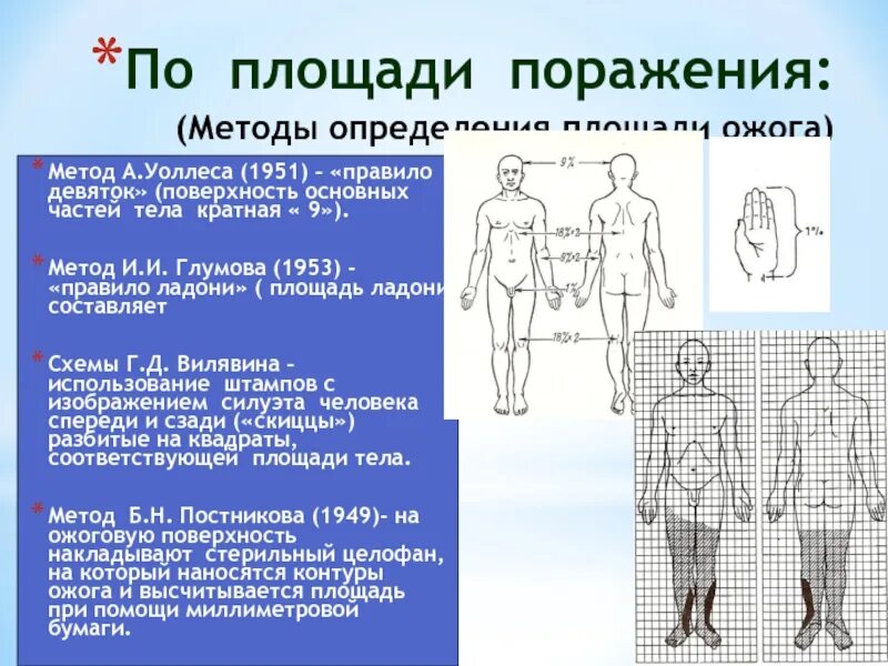 Способы площади ожога. Определение площади ожоговой поверхности по правилу ладони и девяток. Методика измерения площади ожогов. Способы площади ожога. Способы площади ожога.