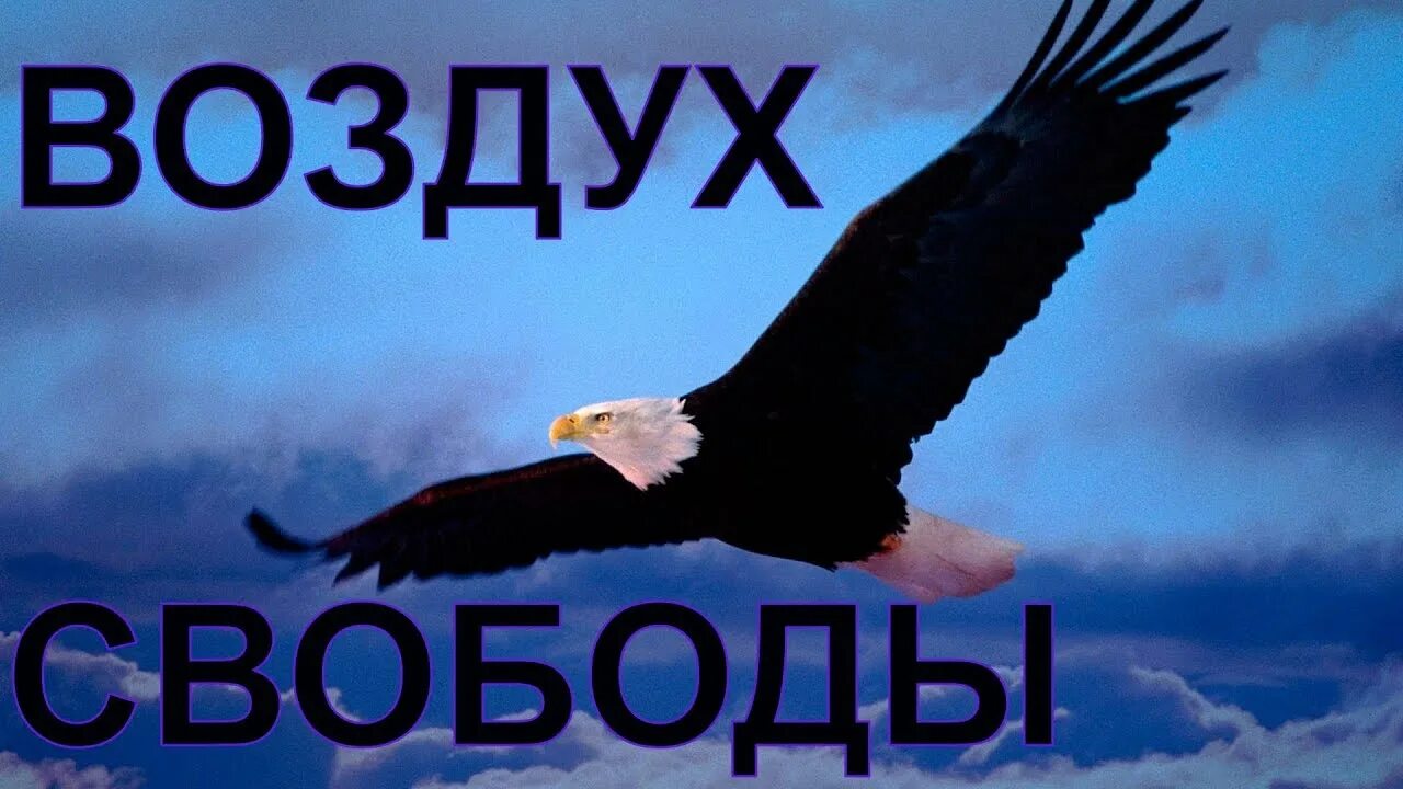 Пятая свобода воздуха. Krec ангел обложка. Включи воздух свободы. Свободы воздуха. Krec альбомы.