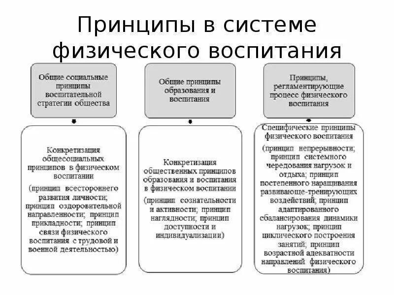 Три группы принципов. Система физического воспитания. Принципы физического воспитания. Основные системы физического воспитания. Принципы Отечественной системы физического воспитания.