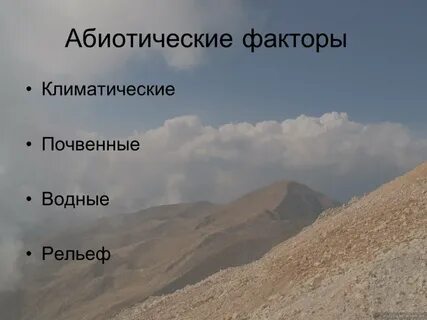 Климатические абиотические факторы