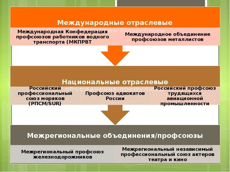 Роль государства в профсоюзах. Роль профсоюзов и государства на рынках труда. Роль профсоюзов на рынке труда. Роль профсоюзов на рынке труда кратко.