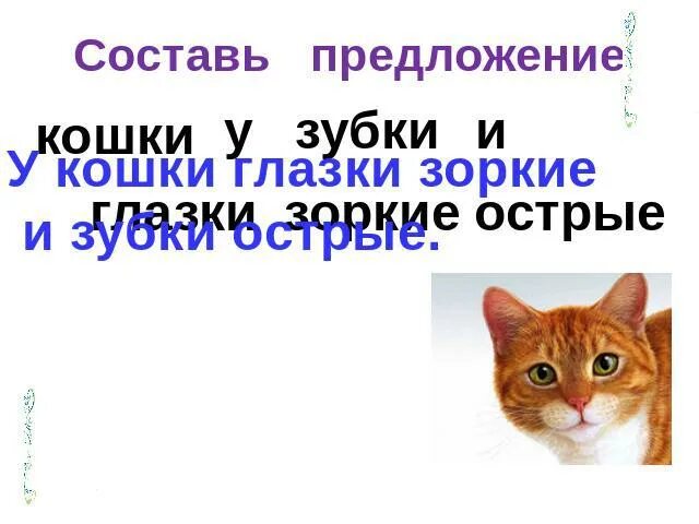 На глазок предложение с этим словом. Составь предложение про кошку. У кошки зоркие глазки и острые. Картинка предложение кошки. Предложение про уху 2 класс.