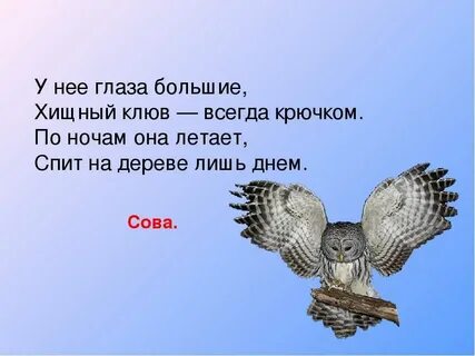 Ответ филин