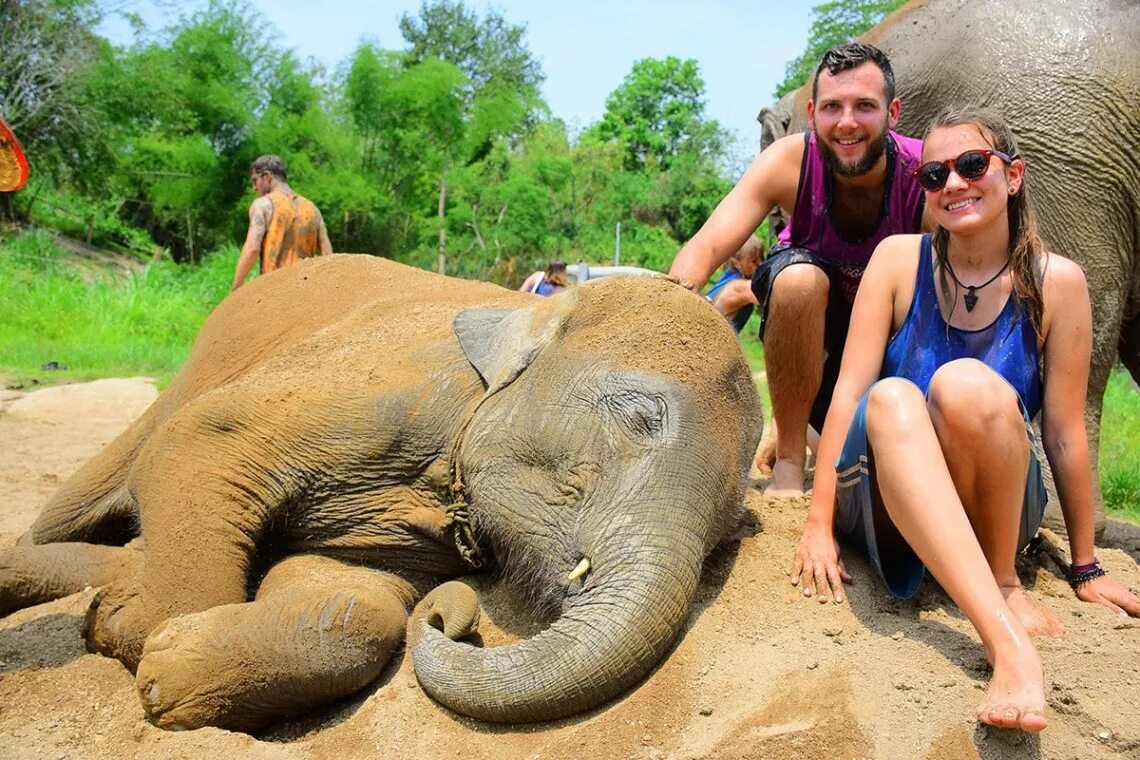 Elephant пхукет. Слоны на Пхукете. Слоновья ферма Пхукет. Элефант парк Пхукет. Парк слонов Пхукет.