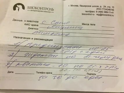 Расшифровки диагнозов врачей
