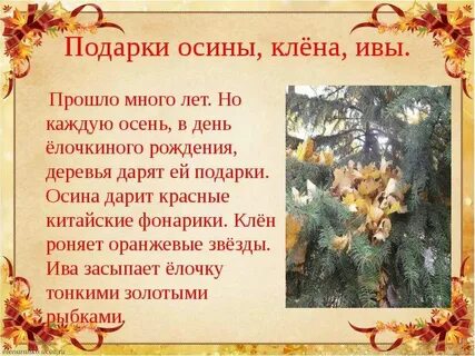 Ива осыпала елочку тонкими золотыми
