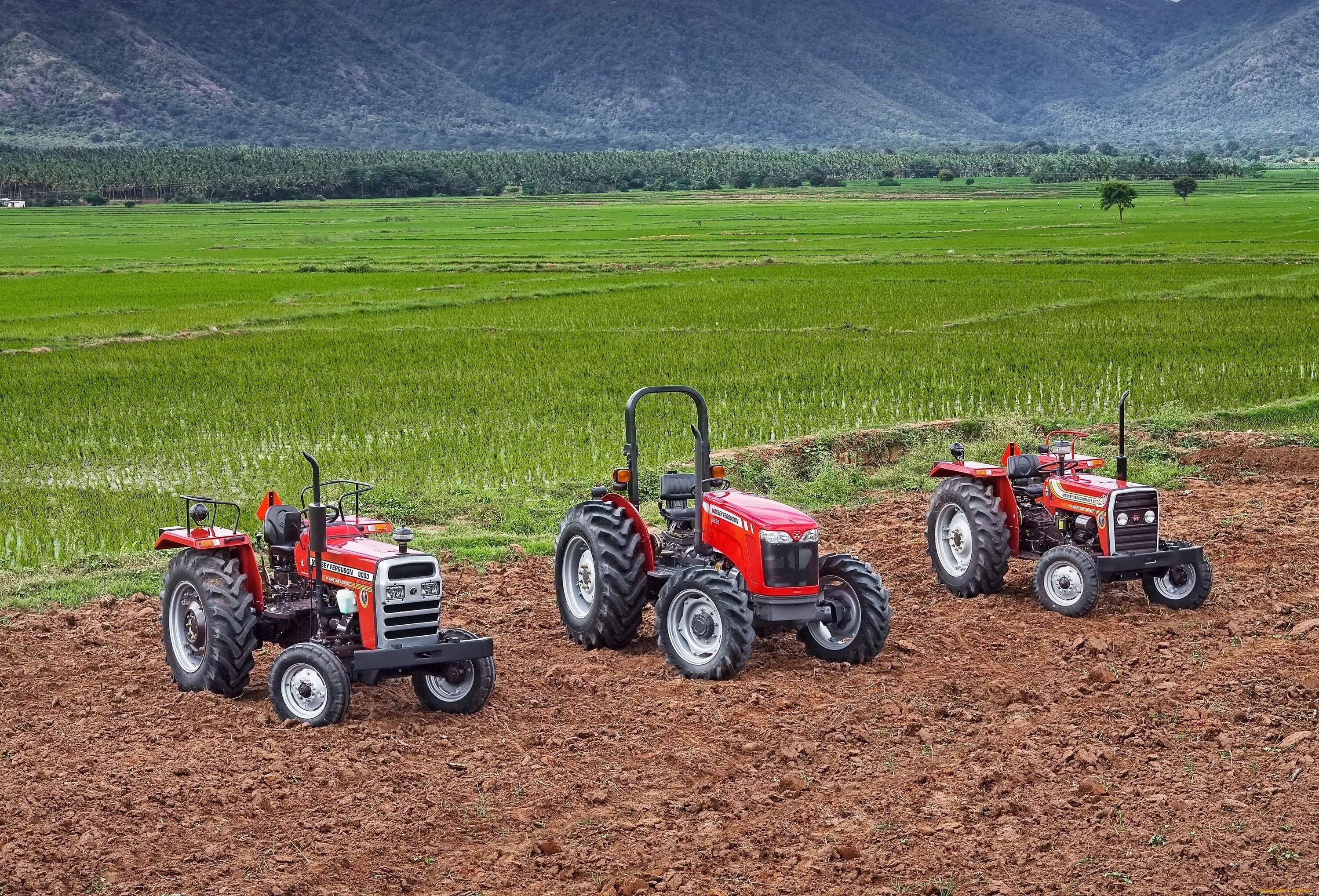 Сельхозтехника Massey Ferguson. Трактор TAFE 6022. Massey Ferguson 2635. Massey Ferguson+поле. Тракторные оборудование