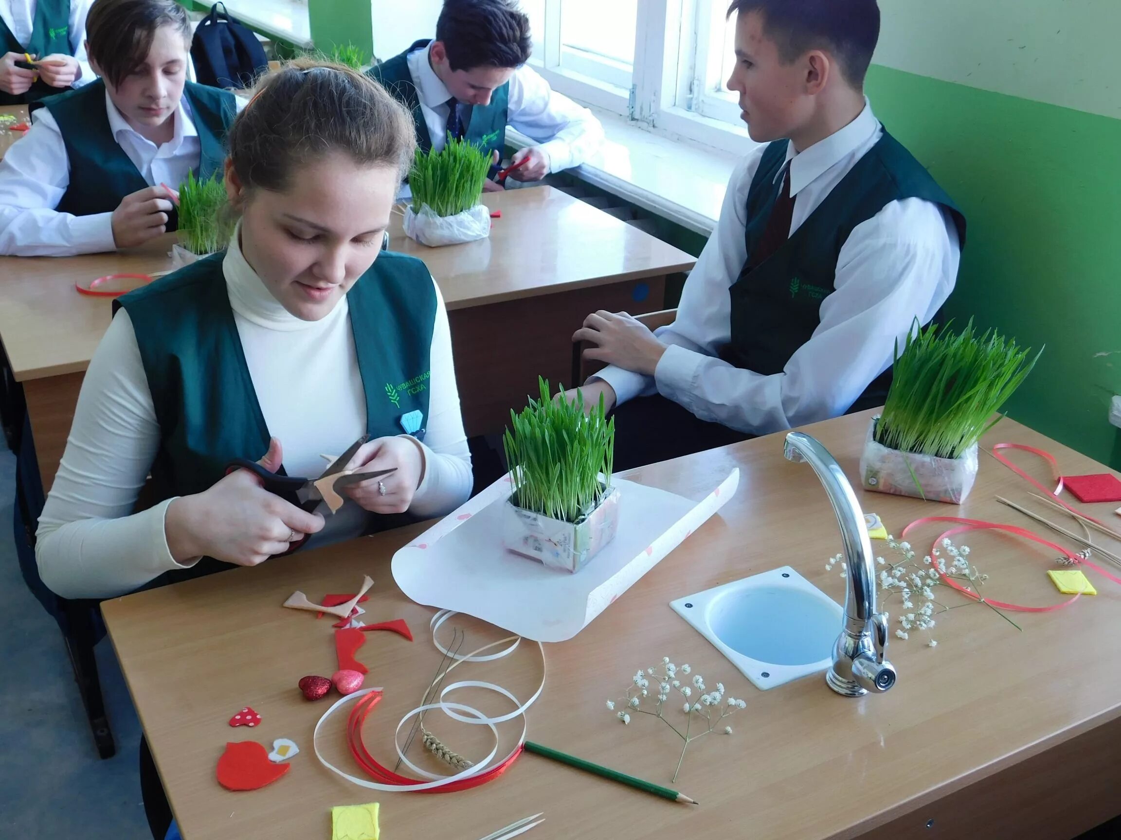 Агроклассы в школах. Аграрный класс в школе. Агроклассы в школах. Агроклассы в школах. Аграрный класс.